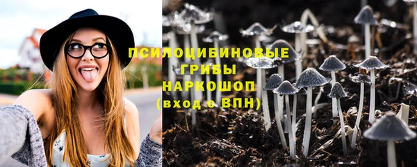 мескалин Медвежьегорск