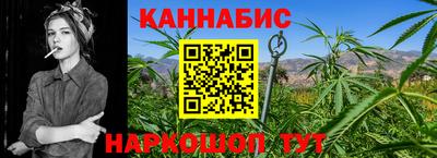 индика Будённовск