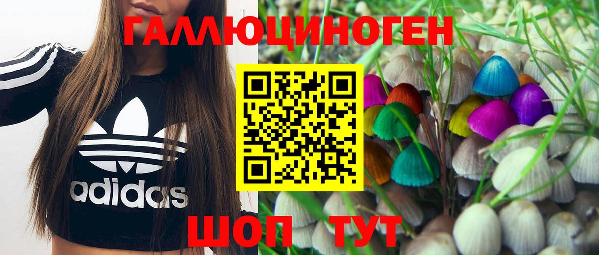 Псилоцибиновые грибы Magic Shrooms Киров