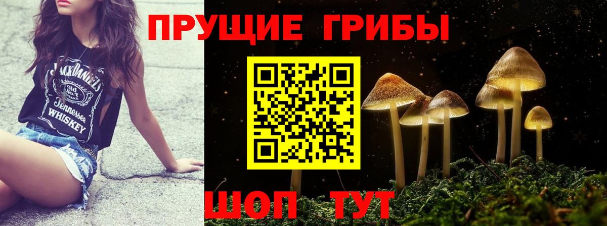 Галлюциногенные грибы Cubensis  Киров 