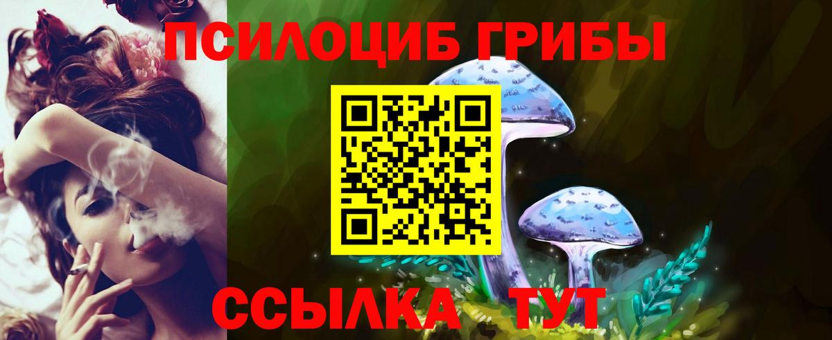 Киров  Галлюциногенные грибы MAGIC MUSHROOMS  Вход с VPN 